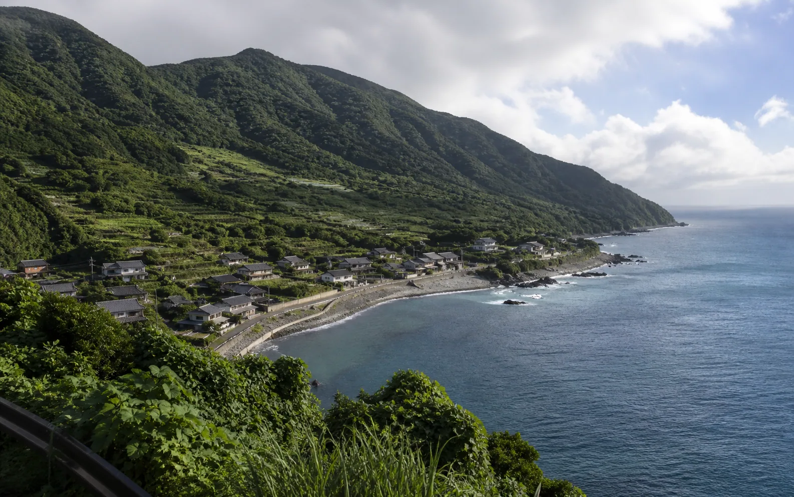 やんばるの深い森と山あいの集落のイメージ